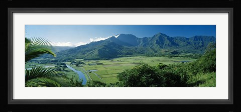 Framed High angle view of taro fields, Hanalei Valley, Kauai, Hawaii, USA Print