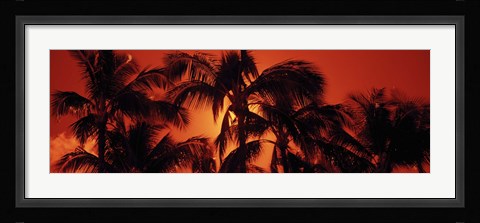 Framed Palm trees at dusk, Kalapaki Beach, Hawaii Print