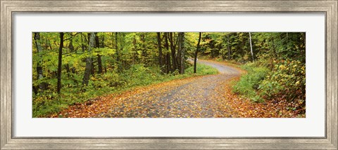Framed Road passing through a forest, Country Road, Peacham, Caledonia County, Vermont, USA Print