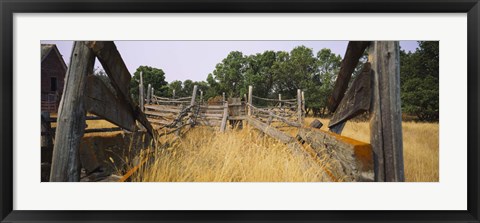 Framed Ranch cattle chute in a field, North Dakota, USA Print