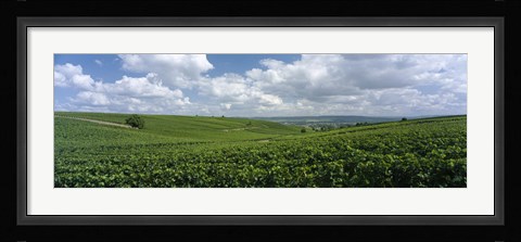 Framed Clouds over vineyards, Mainz, Rhineland-Palatinate, Germany Print