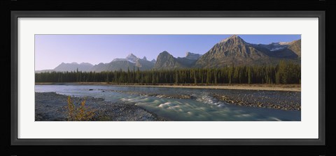 Framed Trees along a river with a mountain range in the background, Athabasca River, Jasper National Park, Alberta, Canada Print