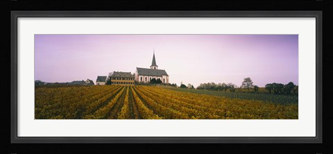 Framed Vineyard with a church in the background, Hochheim, Rheingau, Germany Print