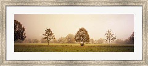 Framed Fog covered trees in a field, Baden-Wurttemberg, Germany Print
