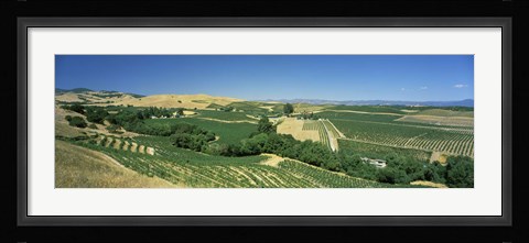 Framed Carneros District, Napa Valley, Napa County, California Print