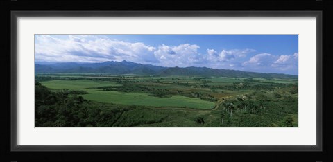Framed High angle view of sugar cane fields, Cienfuegos, Cienfuegos Province, Cuba Print