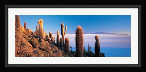 Framed Cactus on a hill, Salar De Uyuni, Potosi, Bolivia Print