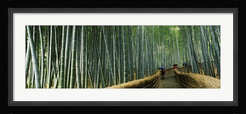 Framed Stepped walkway passing through a bamboo forest, Arashiyama, Kyoto Prefecture, Kinki Region, Honshu, Japan Print