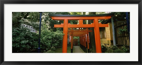 Framed Torii Gates in a park, Ueno Park, Taito, Tokyo Prefecture, Kanto Region, Japan Print
