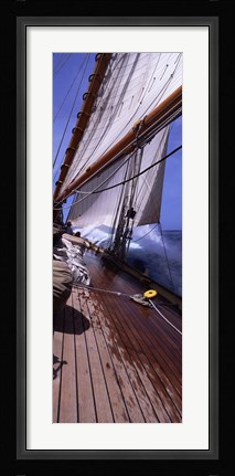 Framed Sailboat in the sea, Antigua (vertical) Print