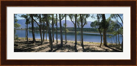 Framed dam on a farm in Hermon, South Africa Print