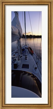 Framed Sailboat in the sea, Kingdom of Tonga,Vava&#39;u Group of Islands, South Pacific (vertical) Print