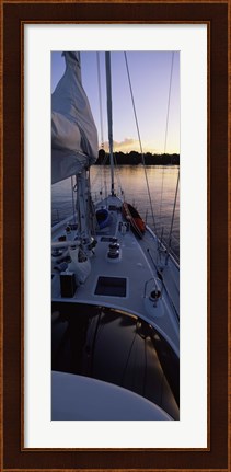 Framed Sailboat in the sea, Kingdom of Tonga,Vava&#39;u Group of Islands, South Pacific (vertical) Print