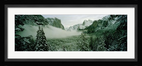 Framed Trees in a forest, Yosemite National Park, Mariposa County, California, USA Print