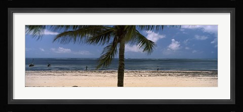Framed Palm tree on the beach, Malindi, Coast Province, Kenya Print