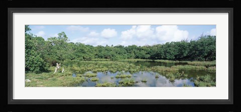 Framed Reflection of clouds in water, Watamu Marine National Park, Watamu, Coast Province, Kenya Print