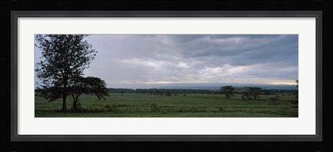 Framed Lake Nakuru National Park, Great Rift Valley, Kenya Print