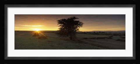 Framed Sunset over a landscape, Masai Mara National Reserve, Great Rift Valley, Kenya Print