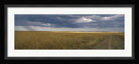 Framed Dirt road passing through a meadow, Masai Mara National Reserve, Great Rift Valley, Kenya Print