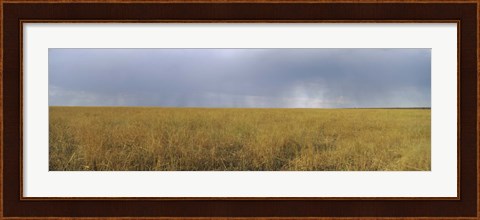 Framed Clouds over a meadow, Masai Mara National Reserve, Great Rift Valley, Kenya Print