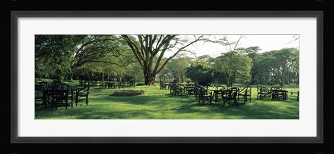 Framed Chairs and tables in a lawn, Lake Naivasha Country Club, Great Rift Valley, Kenya Print
