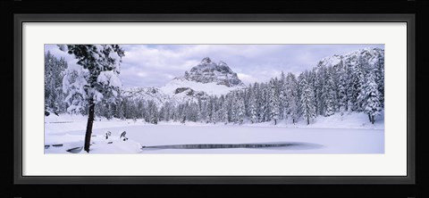 Framed Trees along a frozen lake, Lake Antorno, Tre Cime Di Lavaredo, Dolomites, Cadore, Province of Belluno, Veneto, Italy Print