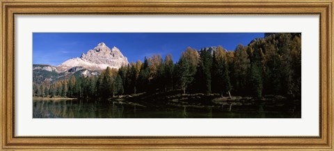 Framed Trees at the lakeside, Lake Misurina, Tre Cime Di Lavaredo, Dolomites, Cadore, Province of Belluno, Veneto, Italy Print