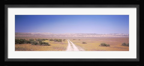 Framed Dirt road passing through a landscape, Carrizo Plain, San Luis Obispo County, California, USA Print