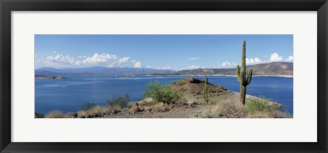 Framed Cactus at the lakeside with a mountain range in the background, Lake Pleasant, Arizona, USA Print