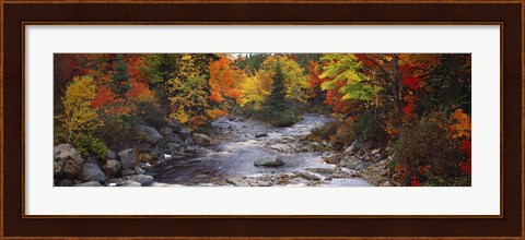 Framed Stream with trees in a forest in autumn, Nova Scotia, Canada Print