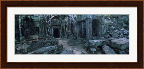 Framed Overgrown tree roots on ruins of a temple, Ta Prohm Temple, Angkor, Cambodia Print