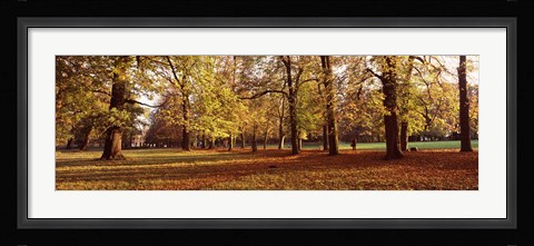 Framed Ludwigsburg Park in autumn, Ludwigsburg, Baden-Wurttemberg, Germany Print