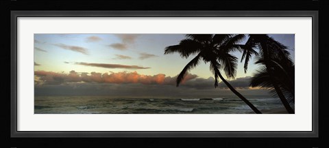 Framed Palm trees on the beach, Hawaii, USA Print
