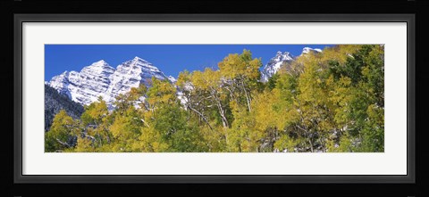 Framed Forest with snowcapped mountains in the background, Maroon Bells, Aspen, Pitkin County, Colorado, USA Print