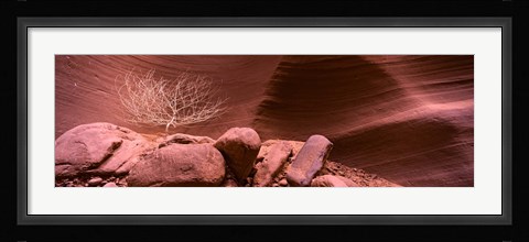 Framed Bare Tree and Rock formations, Antelope Canyon, Arizona Print