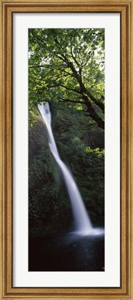 Framed Waterfall in a forest, Horsetail falls, Larch Mountain, Hood River, Columbia River Gorge, Oregon, USA Print