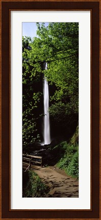 Framed Trail path by a waterfall, Columbia River Gorge, Oregon, USA Print