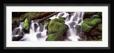 Framed Cascading waterfall in a rainforest, Olympic National Park, Washington State, USA Print