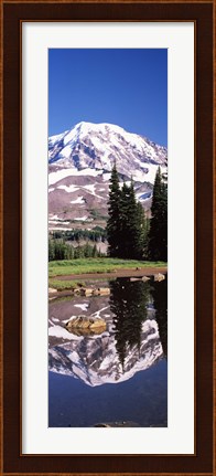 Framed Reflection of a mountain in a lake, Mt Rainier, Pierce County, Washington State, USA Print