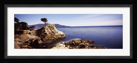 Framed Cypress tree at the coast, The Lone Cypress, 17 mile Drive, Carmel, California Print