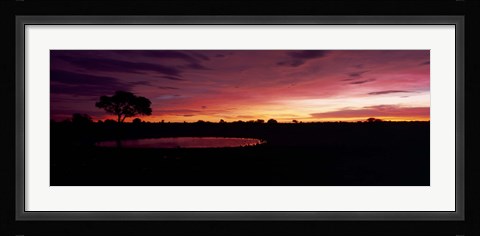 Framed Waterhole in a forest, Okaukuejo, Etosha National Park, Kunene Region, Namibia Print