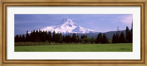 Framed Field with a snowcapped mountain in the background, Mt Hood, Oregon (horizontal) Print