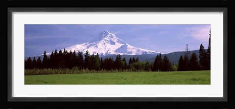 Framed Field with a snowcapped mountain in the background, Mt Hood, Oregon (horizontal) Print