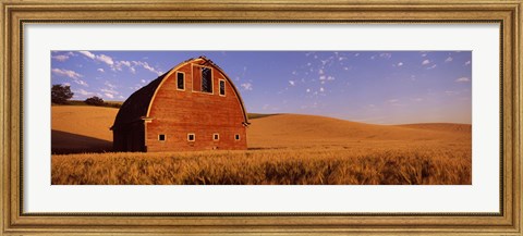 Framed Old barn in a wheat field, Palouse, Whitman County, Washington State Print