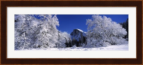 Framed Half Dome, Yosemite National Park, Mariposa County, California Print
