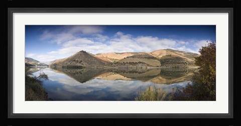 Framed Reflection of Vineyards in the River, Cima Corgo, Duoro River, Portugal Print