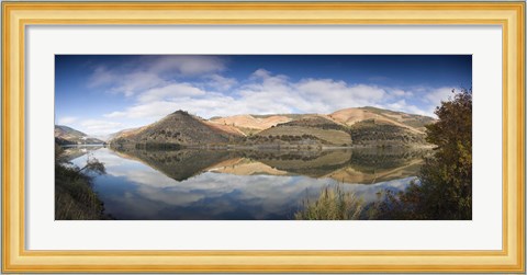 Framed Reflection of Vineyards in the River, Cima Corgo, Duoro River, Portugal Print