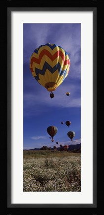 Framed Hot air balloons rising, Hot Air Balloon Rodeo, Steamboat Springs, Colorado Print