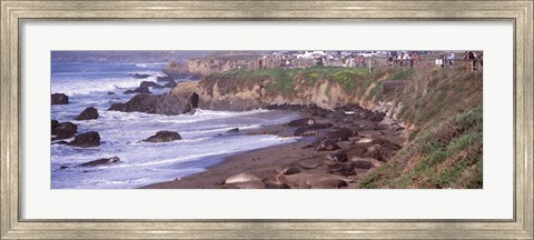 Framed Beach in San Luis Obispo County, California Print