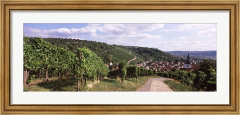 Framed Vineyards, Obertuerkheim, Stuttgart, Baden-Wurttemberg, Germany Print